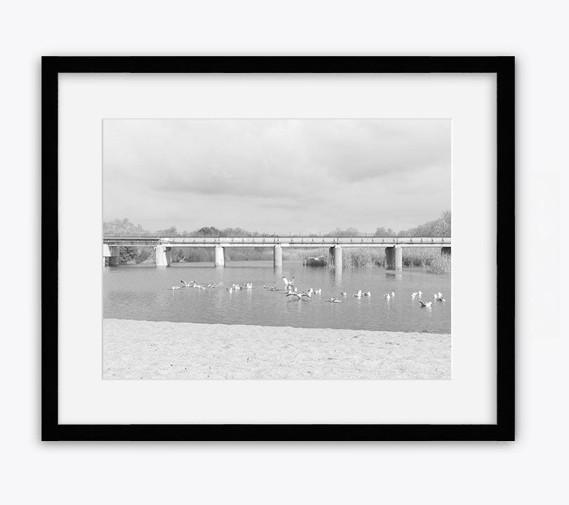 Trestles