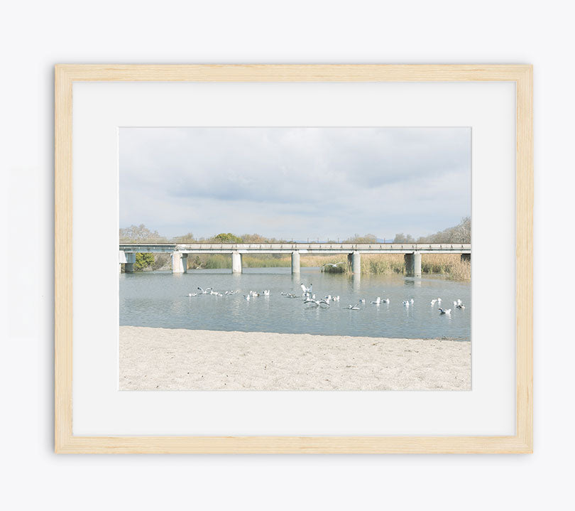 Trestles