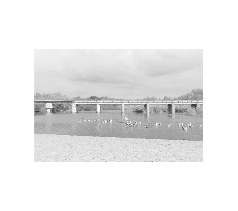 Trestles