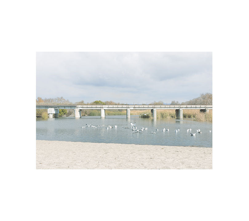 Trestles