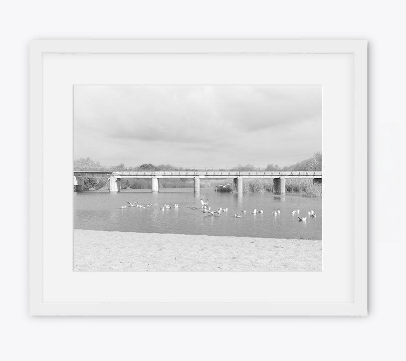 Trestles