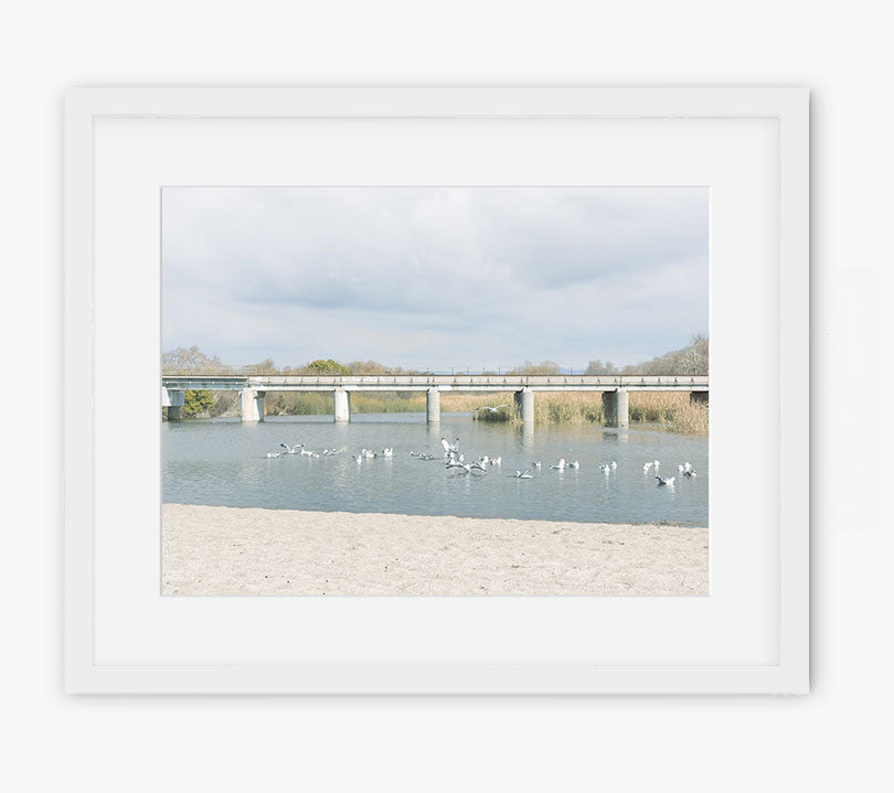 Trestles