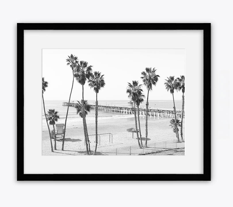 Twelve Palms