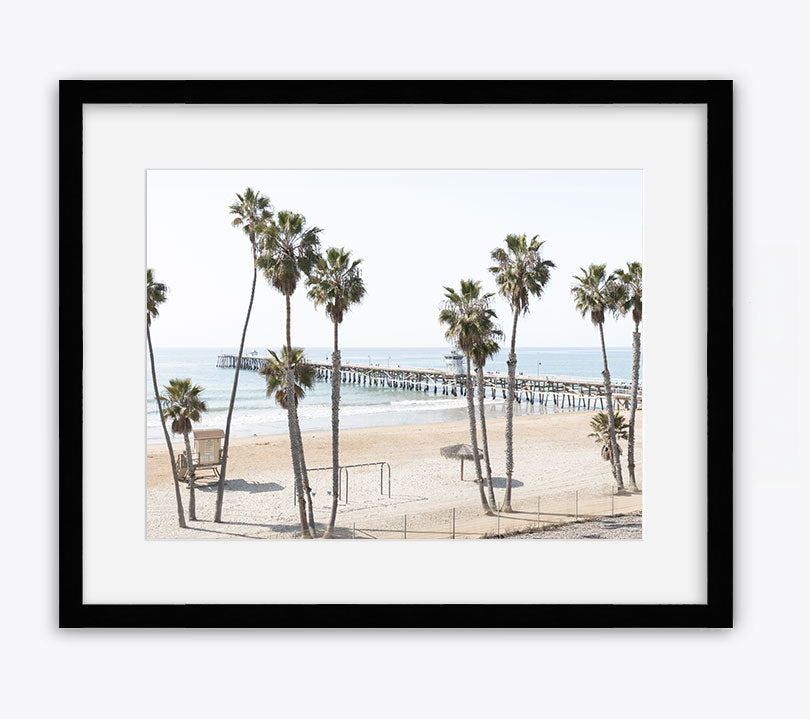 Twelve Palms