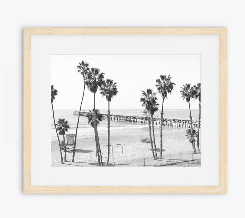 Twelve Palms
