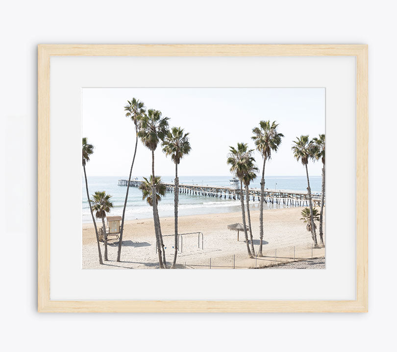 Twelve Palms