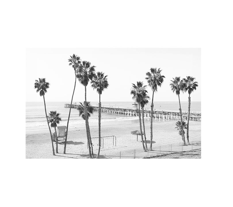Twelve Palms