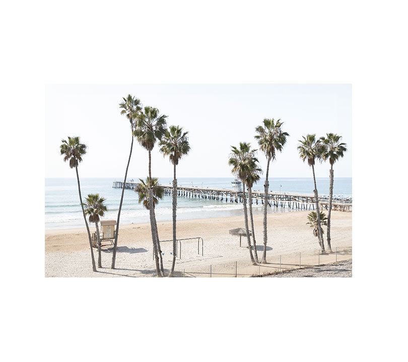 Twelve Palms