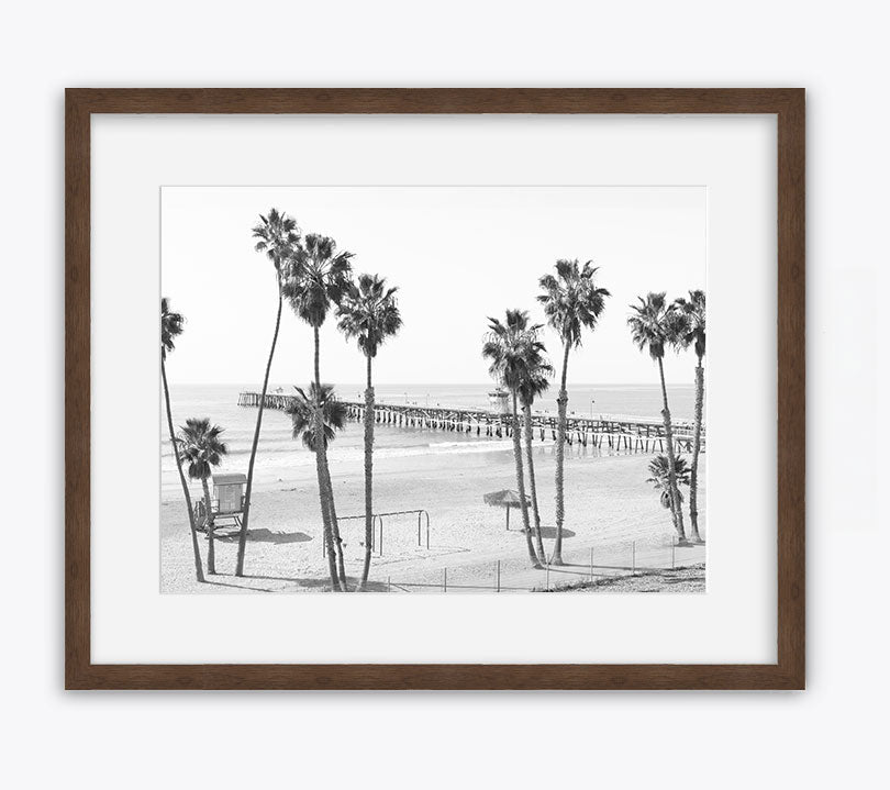 Twelve Palms