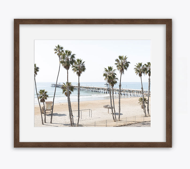 Twelve Palms
