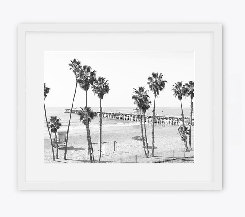 Twelve Palms