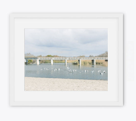 Trestles