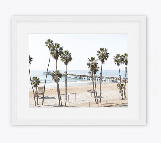 Twelve Palms